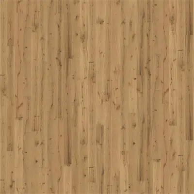 Image for Oak Pallido