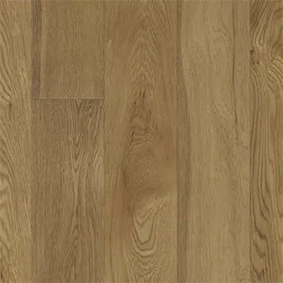 Image pour Oak Suede