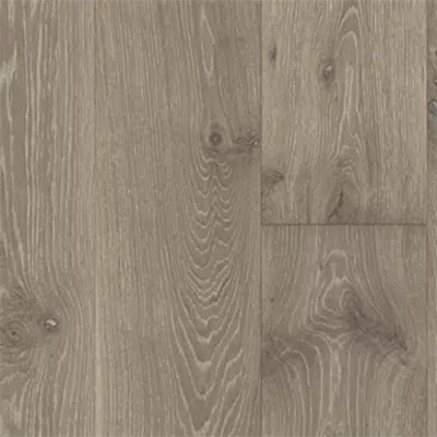 Immagine per Oak Nouveau Gray