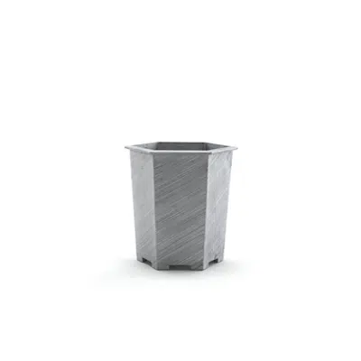 Image for Plant Vessel Hexagon No. 1