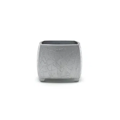 Image for Plant Vessel Cross
