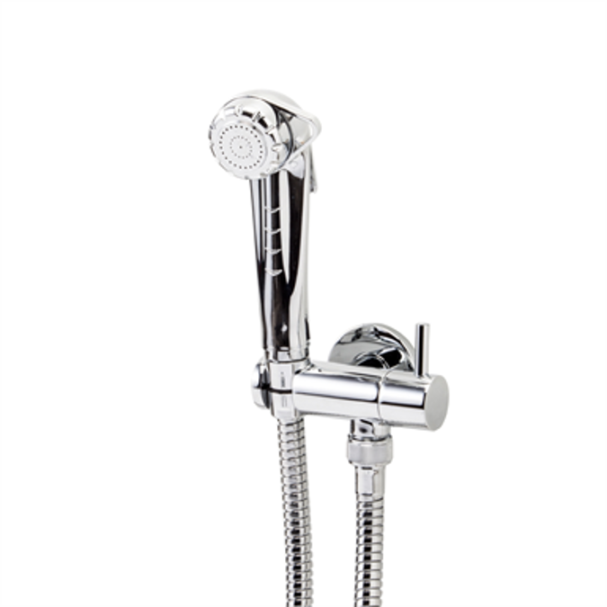 THEO CITY 1-water Bidet tap with shower