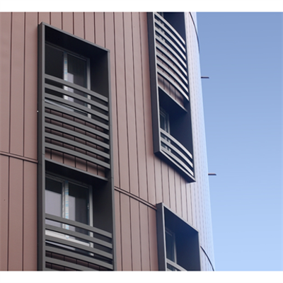 Image for Façade panel