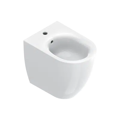 bild för SFERA 50x35 Bidet Floorstanding