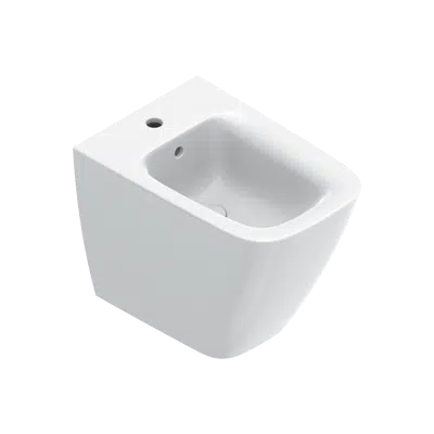 bild för GREEN 55x37 Bidet