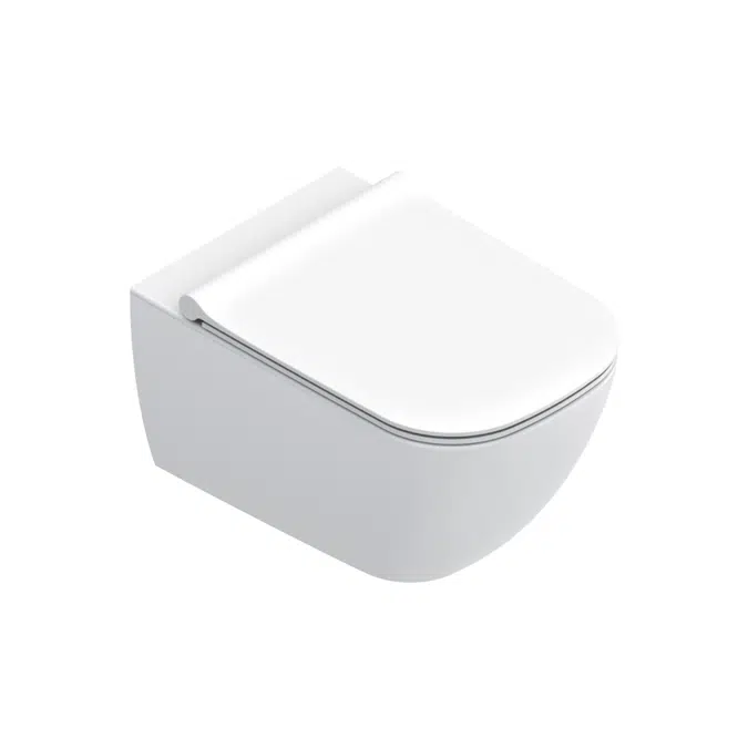 Elice 54x36 Wc UP-FIX