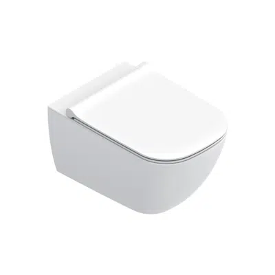 Image for Elice 54x36 Wc UP-FIX