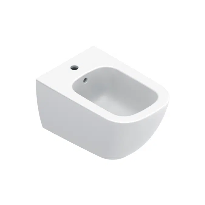 Elice 54x36 Bidet