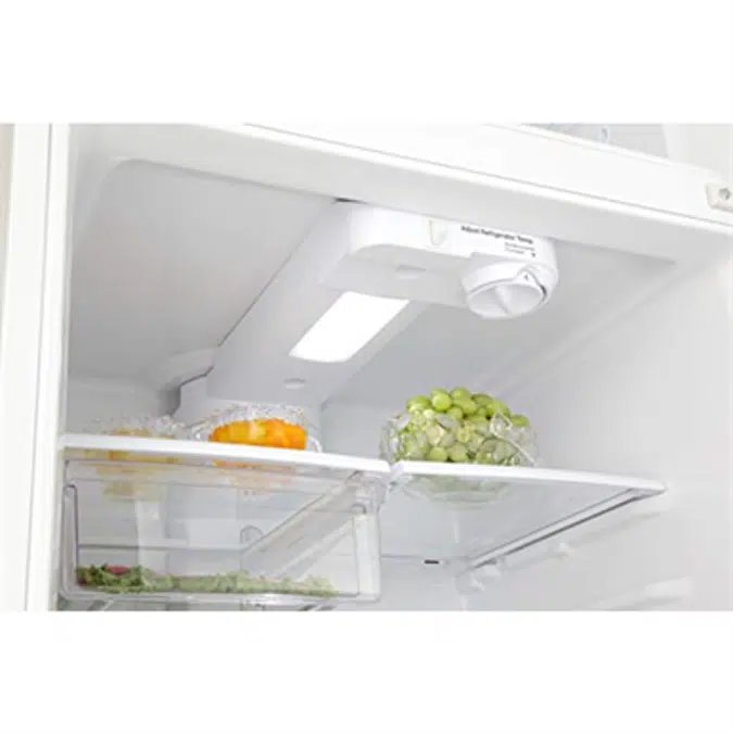 Daewoo RTE18GSSLD Top Mount Refrigerator