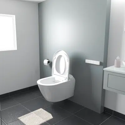 Image for Saniwash - wall-hung washing toilet 