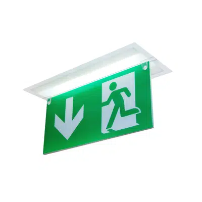 Image for Emergency Lighting Smart