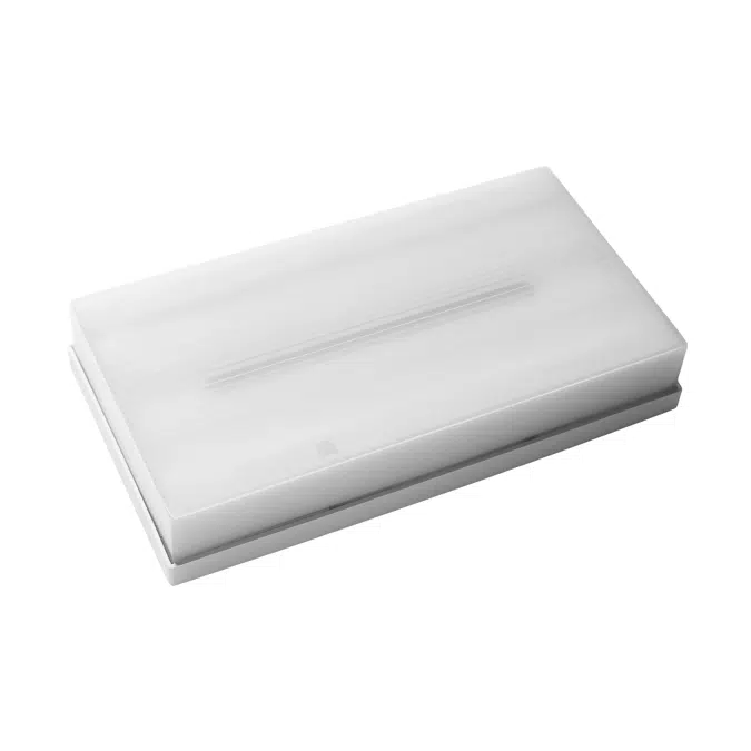 Emergency Lighting Smart