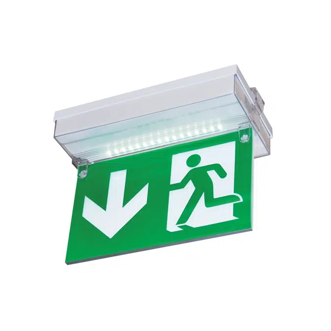 Emergency Lighting Smart