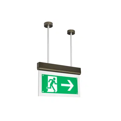 Image pour Emergency Lighting Signal 7
