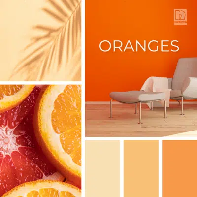 bilde for NIPPON PAINT Orange