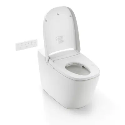 Imagem para Sanitary Toilets INAX 100572BW10}