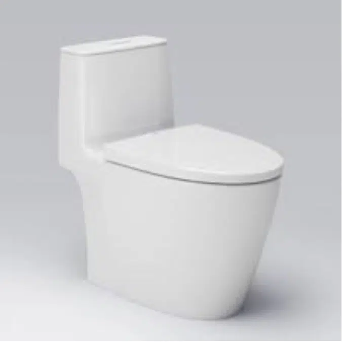 Sanitary Toilets INAX CC090201-6DFT0-AN