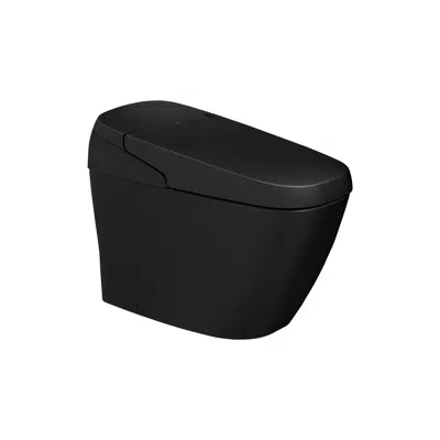 Image for INAX Satis G ASEAN version - KIT code (black) CEIX5321-1124410F0