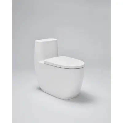 Image for Sanitary Toilets INAX One Pieces Toilet CC1052T1-6DF10-AN