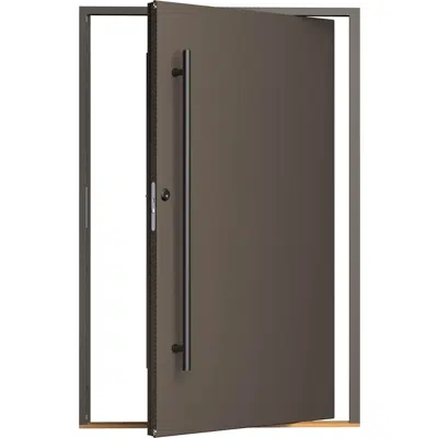 Exterior door Slät Pivot construction图像