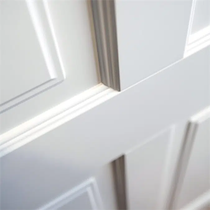 Exterior door ASCOT 300