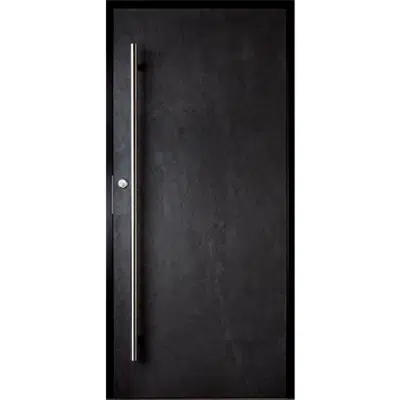 Imagem para Exterior door BERG 160 Noir}