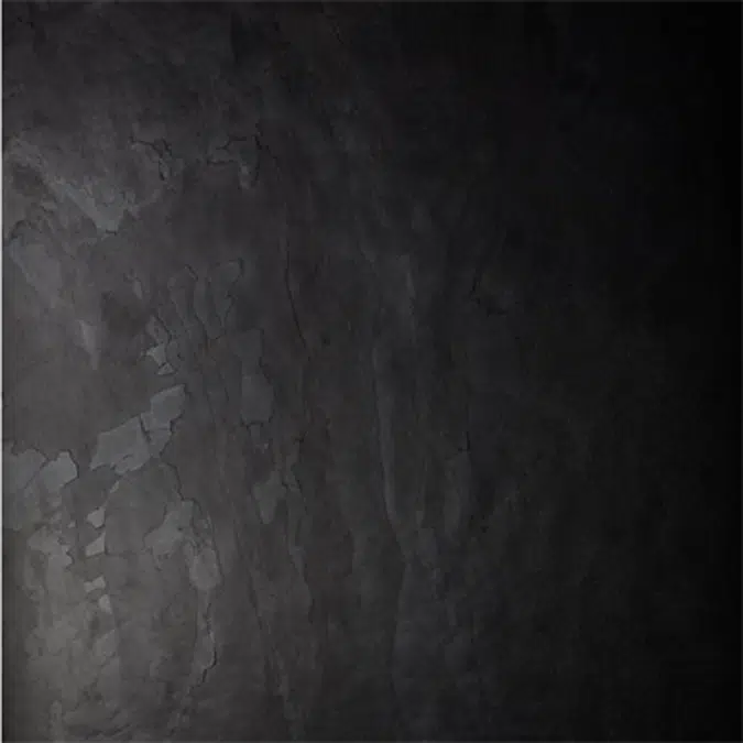 Exterior door BERG 160 Noir