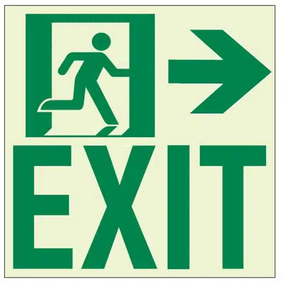 Image for RAE2122 Luminous Intermediate Door Exit Sign