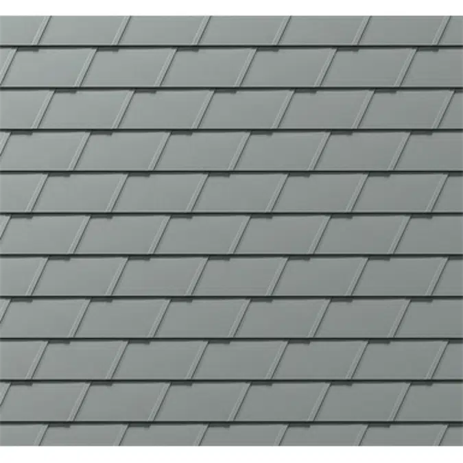 DS.19 Shingle