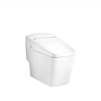 Image for Sanitary Toilet Seats COTTO Vizio