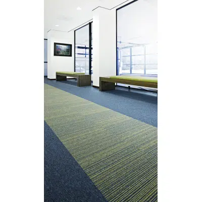 Carpets Desso Essence Stripe图像