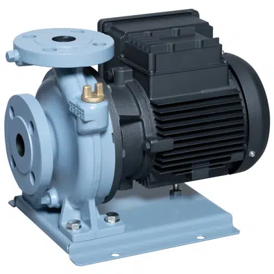 model FSDV_Variable-speed Direct coupled single-stage end suction Pump with Inverter-Integrated PM Motor图像