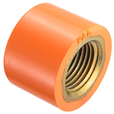 Immagine per FlameGuard® CPVC Bushing - with Brass Thread Insert