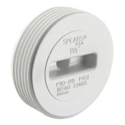 Image for DWV PVC Flush C.O. Plug