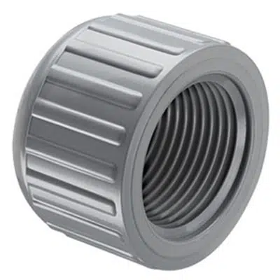 bild för SCH80 CPVC/PVC Cap (Fpt) - Fabricated