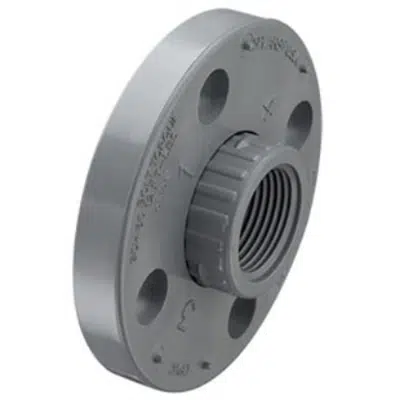 SCH80 CPVC/PVC Vanstone Flange w/ CPVC/PVC Ring (Fpt)图像