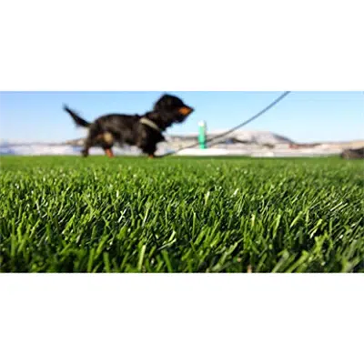 afbeelding voor GrassTex Playtime Turf 5x15 Roll Dog Turf Landscape Turf Playground Rooftop Turf