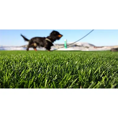 GrassTex Playtime Turf 5x15 Roll Dog Turf Landscape Turf Playground Rooftop Turf图像