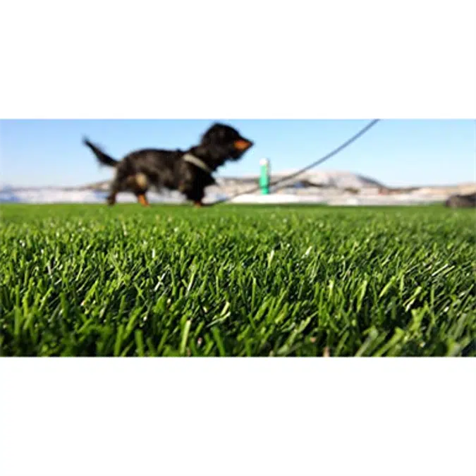 GrassTex Playtime Turf 5x15 Roll Dog Turf Landscape Turf Playground Rooftop Turf