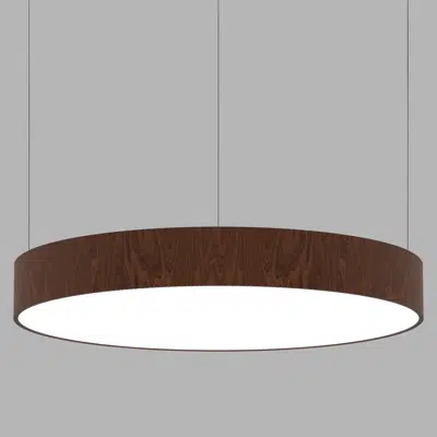 изображение для Circular Plate Suspended Ø900 Stnd/Opt2