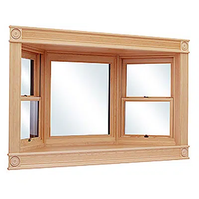 Immagine per Bay and Bow Windows