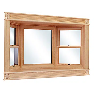 Image for Bay and Bow Windows