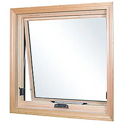 Image for Awning Window