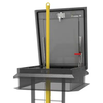 Image for Ladder Safety Post