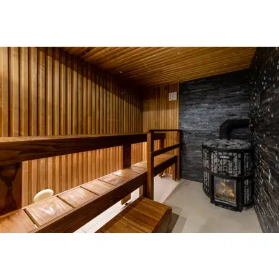 Interior or Sauna - Thermo-Aspen STEP Wall Paneling图像