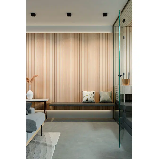 Interior or Sauna - Alder STS4 Wall Paneling