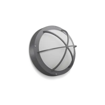 Image for Robust