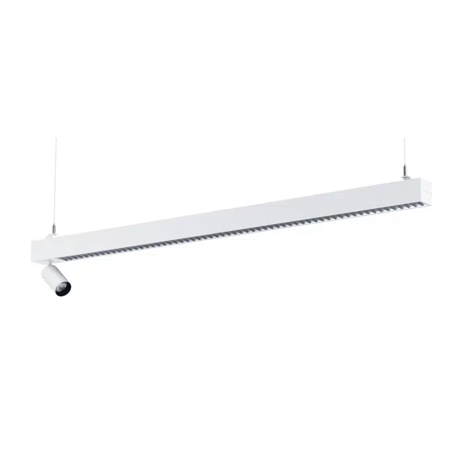 Notor 65 Dynamic Beta Opti