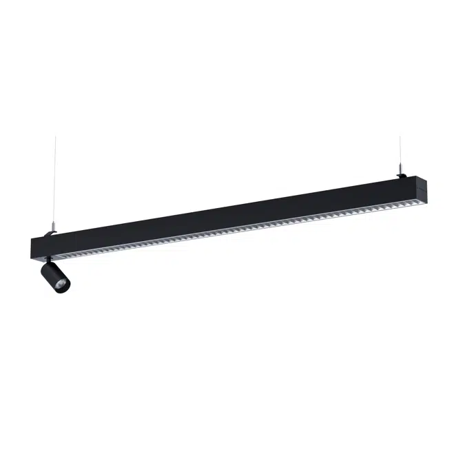 Notor 65 Dynamic Beta Opti