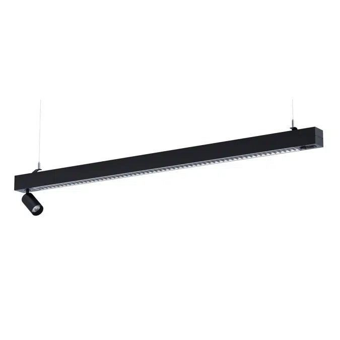 Notor 65 Dynamic Beta Opti